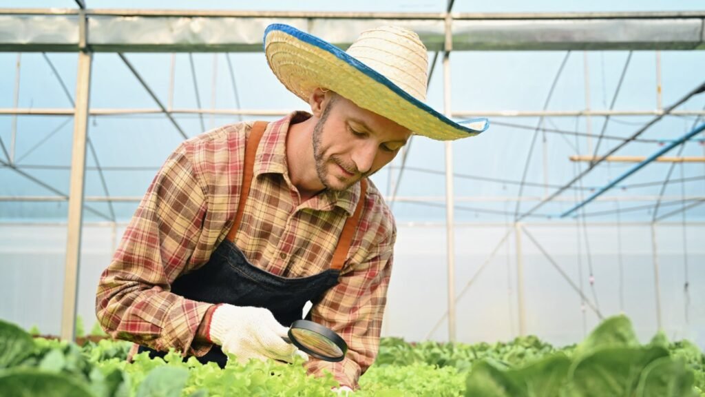 farmer-examining-the-quality-in-hydroponic-greenhouse--e1698040280156.jpg