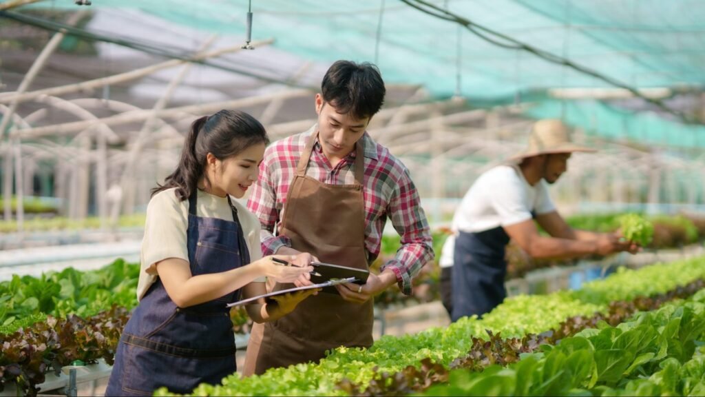 hydroponics-smiling-young-asian-couple-farmer-harvest-organic-vegetable-salad-from-farm-garden--e1698040021703.jpg
