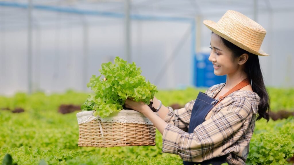 woman-in-the-hydroponic-vegetable-farm-grows-wholesale-hydroponic-vegetables-in-restaurants-and-supe-e1697789890987.jpg